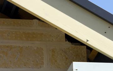 soffit repair Ruckland